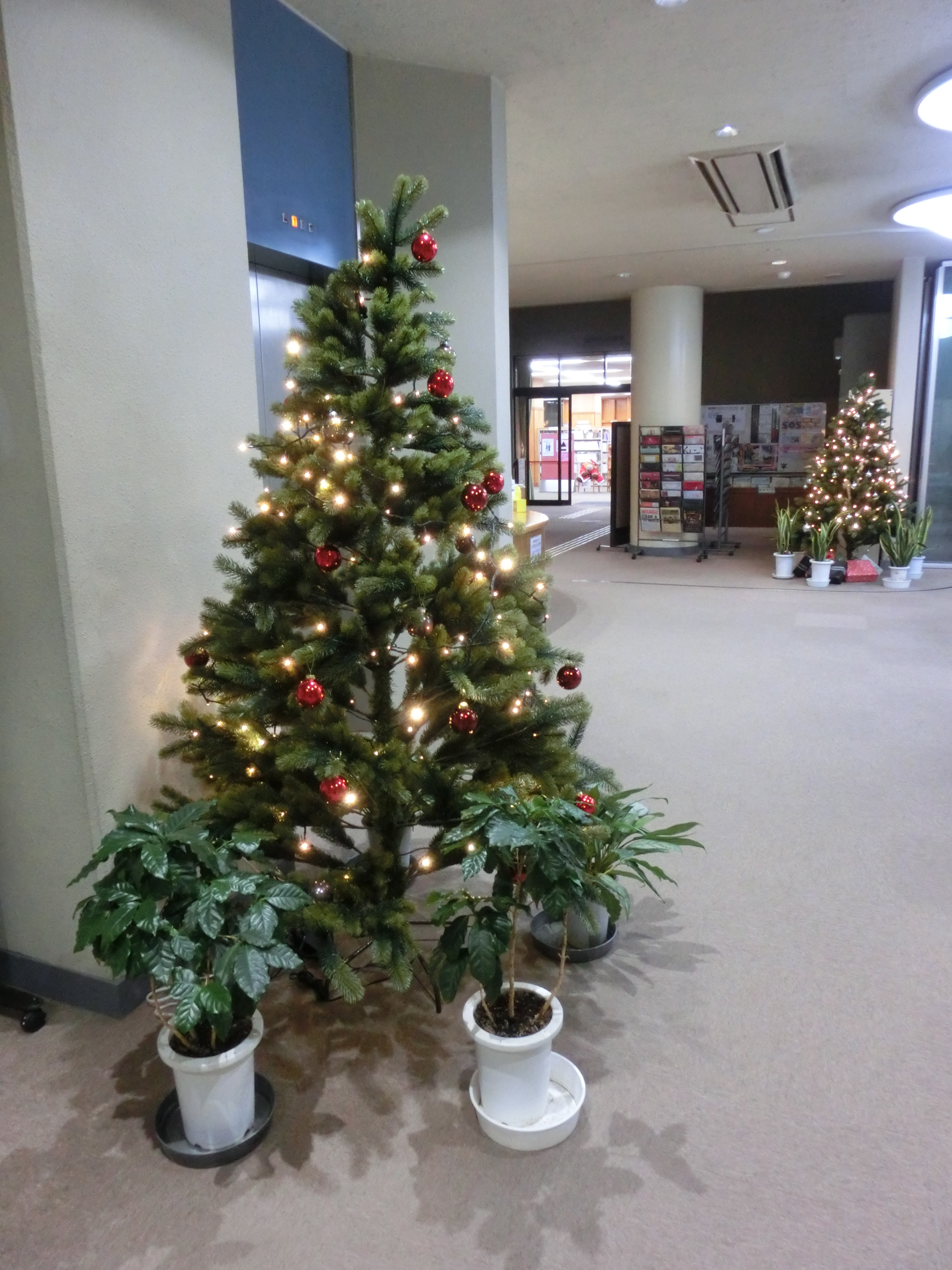 色々な会場に移動して大活躍のクリスマスツリー